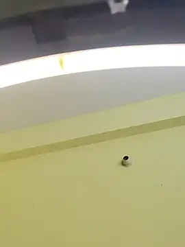 trinasa online show from January 9, 2026, 8:10 pm