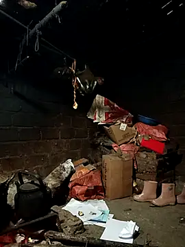 yu--yo online show from February 8, 2026, 2:04 am