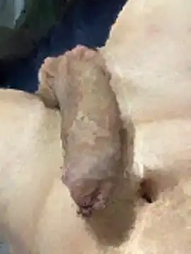 Snapshot of misteryboi chatting on February 1, 2026, 12:20 am misteryboi online show from February 1, 2026, 12:20 am