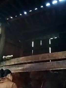 miray- online show from March 13, 2026, 10:33 am