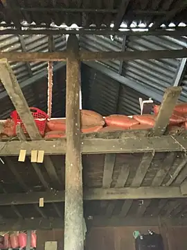 Naalyy online show from March 26, 2026, 3:34 am