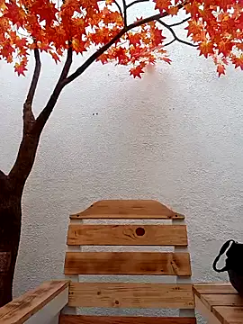 Dante Knox online show from February 15, 2026, 11:52 am