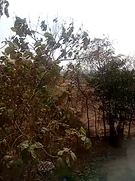 DesiPlayboy09 online show from February 22, 2026, 8:24 am