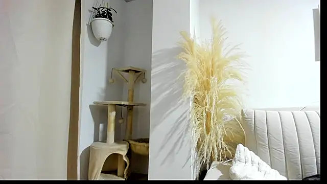  Sweet ary online show from April 8, 2026, 2:55 am