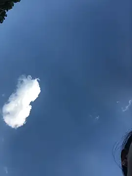 sun-shii online show from April 9, 2026, 9:47 am