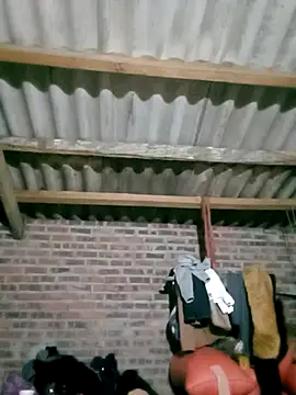 Diana-02 online show from February 28, 2026, 11:55 am