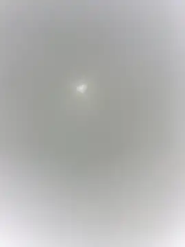 sharck12 35 online show from January 18, 2026, 11:14 am