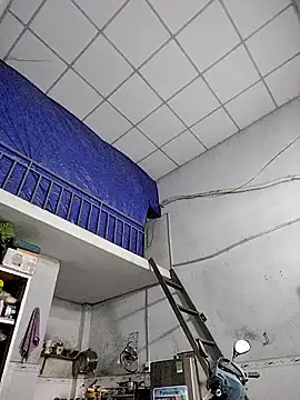 Famrita online show from January 19, 2026, 1:31 am