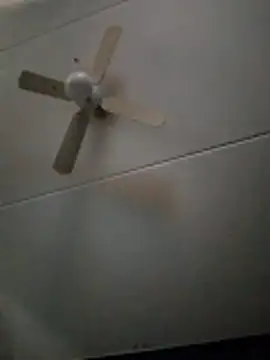 Snapshot of dewimp1 chatting on February 3, 2026, 8:52 am dewimp1 online show from February 3, 2026, 8:52 am