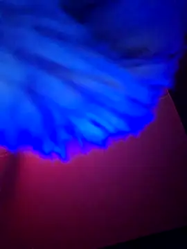 Snapshot of dewimp1 chatting on February 6, 2026, 6:18 am dewimp1 online show from February 6, 2026, 6:18 am