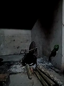 cutebobi online show from April 4, 2026, 10:29 pm