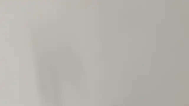 Ashley Ebony   online show from February 7, 2026, 1:04 pm