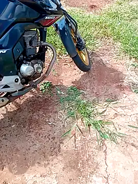 Snapshot of negrim10 chatting on February 10, 2026, 12:31 pm negrim10 online show from February 10, 2026, 12:31 pm