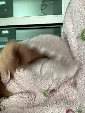 Snapshot of wjddjwjd chatting on February 6, 2026, 11:52 pm wjddjwjd online show from February 6, 2026, 11:52 pm