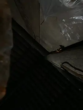 bikhidj online show from April 13, 2026, 6:02 pm