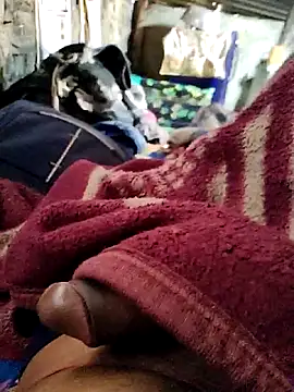 crazyxy12 online show from February 7, 2026, 6:17 am