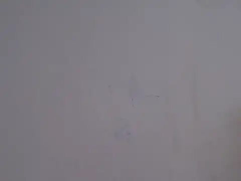 placerverdadero online show from February 15, 2026, 5:48 am