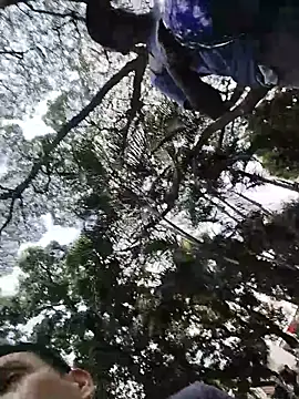 rejypool online show from April 11, 2026, 5:06 pm