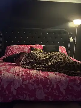 tipheragain online show from April 26, 2026, 5:49 am