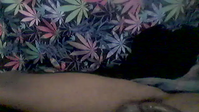 Snapshot of libraxxxstudios chatting on June 9, 2026, 4:57 am libraxxxstudios online show from June 9, 2026, 4:57 am