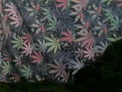 Snapshot of libraxxxstudios chatting on June 28, 2026, 9:59 am libraxxxstudios online show from June 28, 2026, 9:59 am