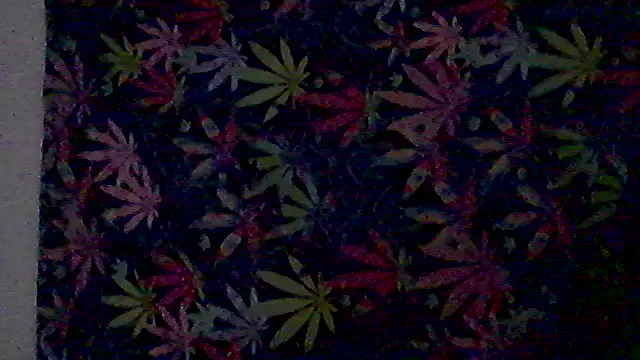 Snapshot of libraxxxstudios chatting on July 3, 2026, 12:11 pm libraxxxstudios online show from July 3, 2026, 12:11 pm