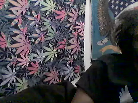 Snapshot of libraxxxstudios chatting on July 23, 2026, 9:51 am libraxxxstudios online show from July 23, 2026, 9:51 am