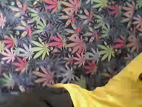 Snapshot of libraxxxstudios chatting on July 24, 2026, 9:57 pm libraxxxstudios online show from July 24, 2026, 9:57 pm