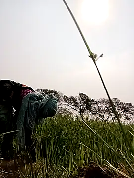 Royal hotti0011 online show from March 17, 2026, 3:55 am