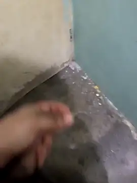 tortolito201 online show from February 8, 2026, 2:48 am