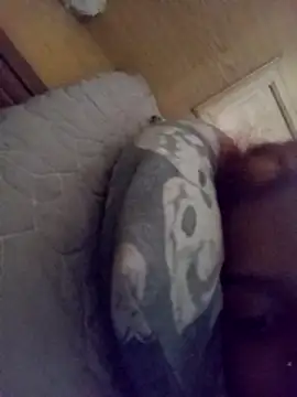 loveofpetitegirls34 online show from February 21, 2026, 8:26 am