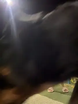 Snapshot of Arya___ chatting on February 19, 2026, 5:47 am Arya online show from February 19, 2026, 5:47 am