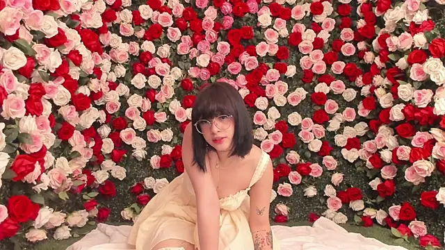 salome velour online show from June 3, 2026, 12:41 pm