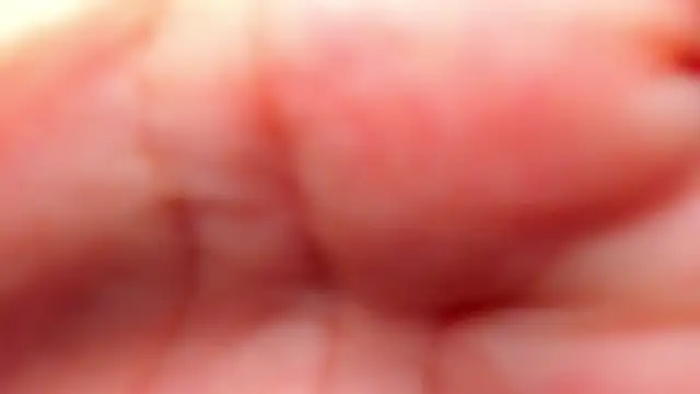 RinaFox   online show from February 21, 2026, 1:17 am