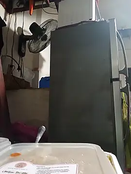 Snapshot of Wildcam21 chatting on February 24, 2026, 9:51 am Wildcam21 online show from February 24, 2026, 9:51 am