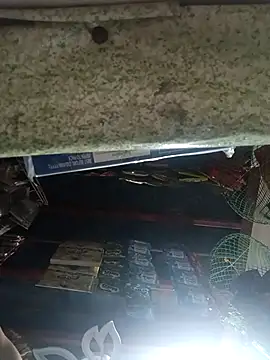 Wildcam21 online show from March 17, 2026, 5:44 am