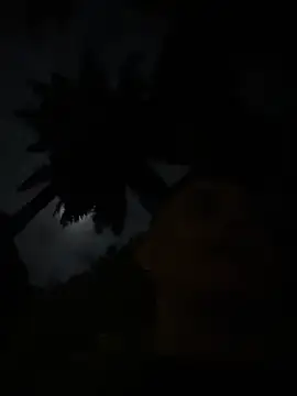 Gael Velaryx online show from April 2, 2026, 3:15 am