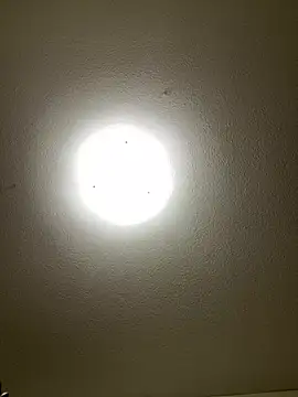 pussyeater - online show from April 16, 2026, 4:24 am