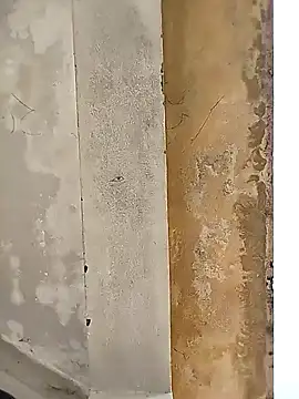 Snapshot of loyalboy_0052 chatting on February 8, 2026, 9:13 am loyalboy 0052 online show from February 8, 2026, 9:13 am