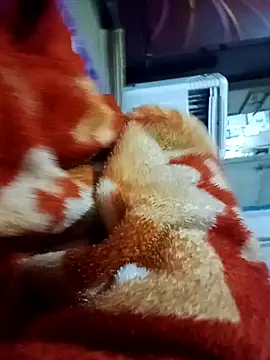 yusu 3 online show from March 19, 2026, 6:45 pm