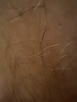 benoitxxx online show from March 12, 2026, 6:47 pm