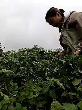 Snapshot of lovely-742 chatting on February 28, 2026, 1:50 am lovely-742 online show from February 28, 2026, 1:50 am