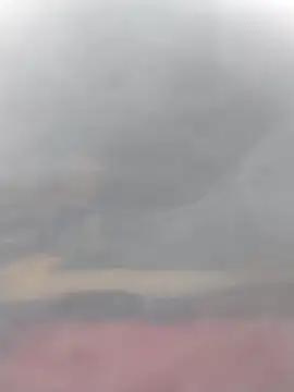 cobrosdepagos online show from March 14, 2026, 3:06 pm