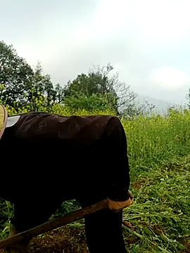 nelina 12345 online show from March 26, 2026, 1:44 am