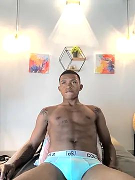 Snapshot of hanssmitt chatting on February 27, 2026, 7:14 pm hanssmitt online show from February 27, 2026, 7:14 pm