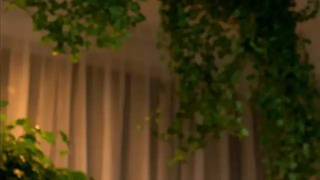 Snapshot of TheMaddisonShow_ chatting on March 4, 2026, 3:56 am TheMaddisonShow online show from March 4, 2026, 3:56 am