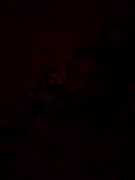 Snapshot of Blisiomar chatting on May 30, 2026, 12:52 am Blisiomar online show from May 30, 2026, 12:52 am