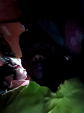 India-Sajan online show from March 21, 2026, 6:51 am