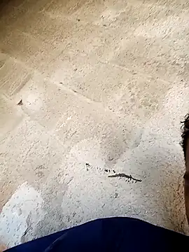 Snapshot of negopreto_ chatting on February 24, 2026, 7:34 pm negopreto online show from February 24, 2026, 7:34 pm