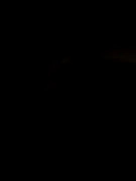 angelmelody69 online show from April 30, 2026, 2:40 am